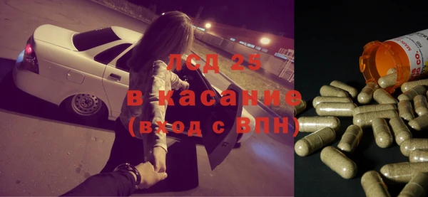 гашик Осташков
