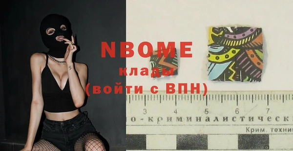 гашик Осташков
