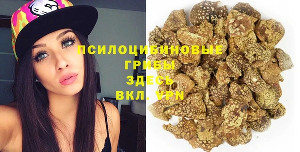 прущая мука Осинники