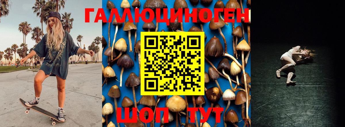 Псилоцибиновые грибы Magic Shrooms  Краснознаменск  Псилоцибиновые грибы Psilocybe 