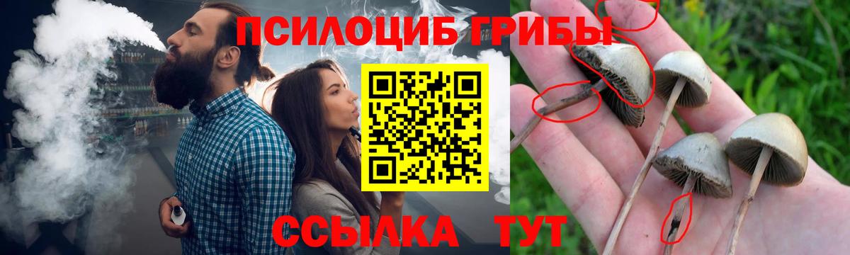 Псилоцибиновые грибы прущие грибы Краснознаменск